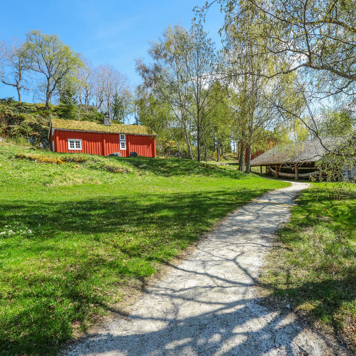 Pathway leading past a red wooden cottage with a grass roof and rustic farm buildings at Sverresborg Trøndelag Folk Museum on a sunny day.