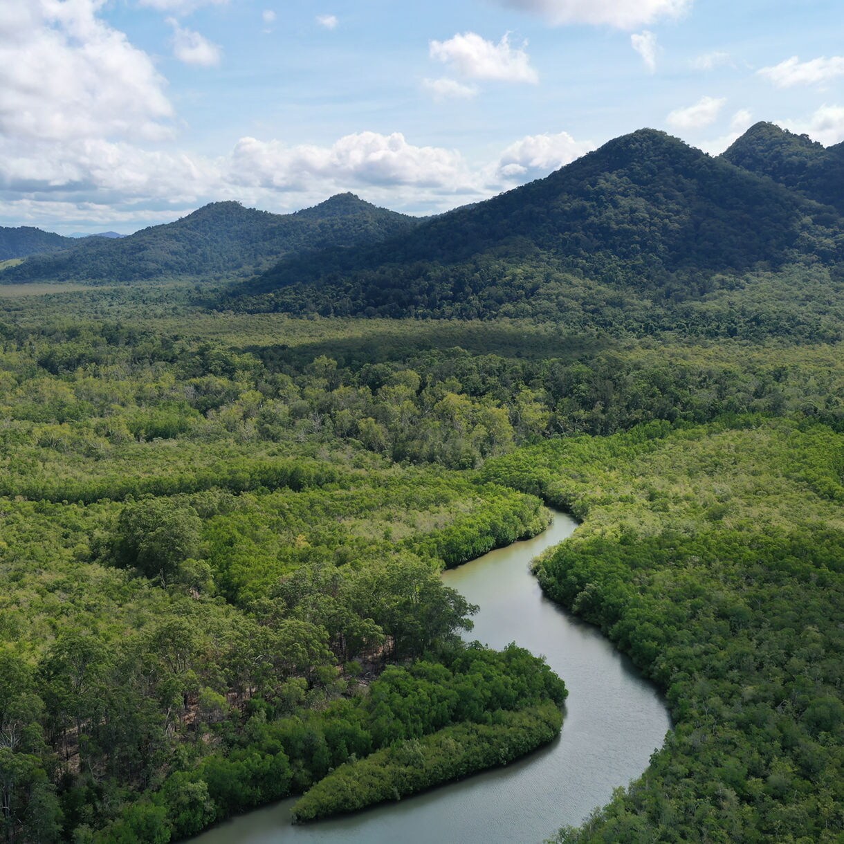 Aerial view of a winding river cutting through dense green rainforest with rolling hills and cloudy blue skies in the background.