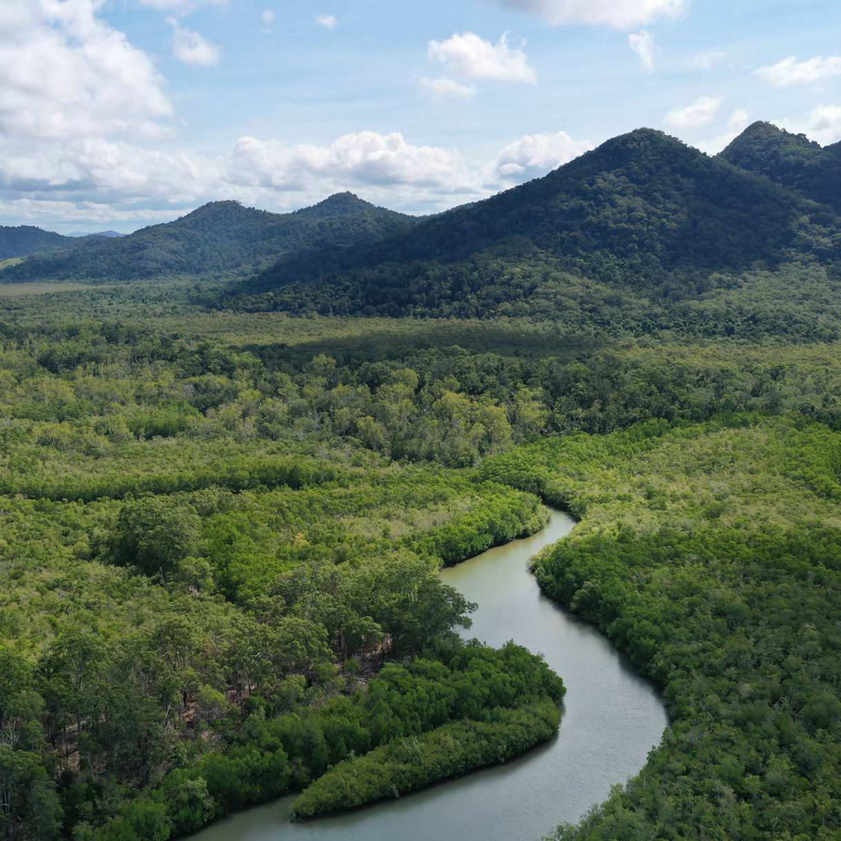 Cruises to Cairns, Australia - Princess Cruises