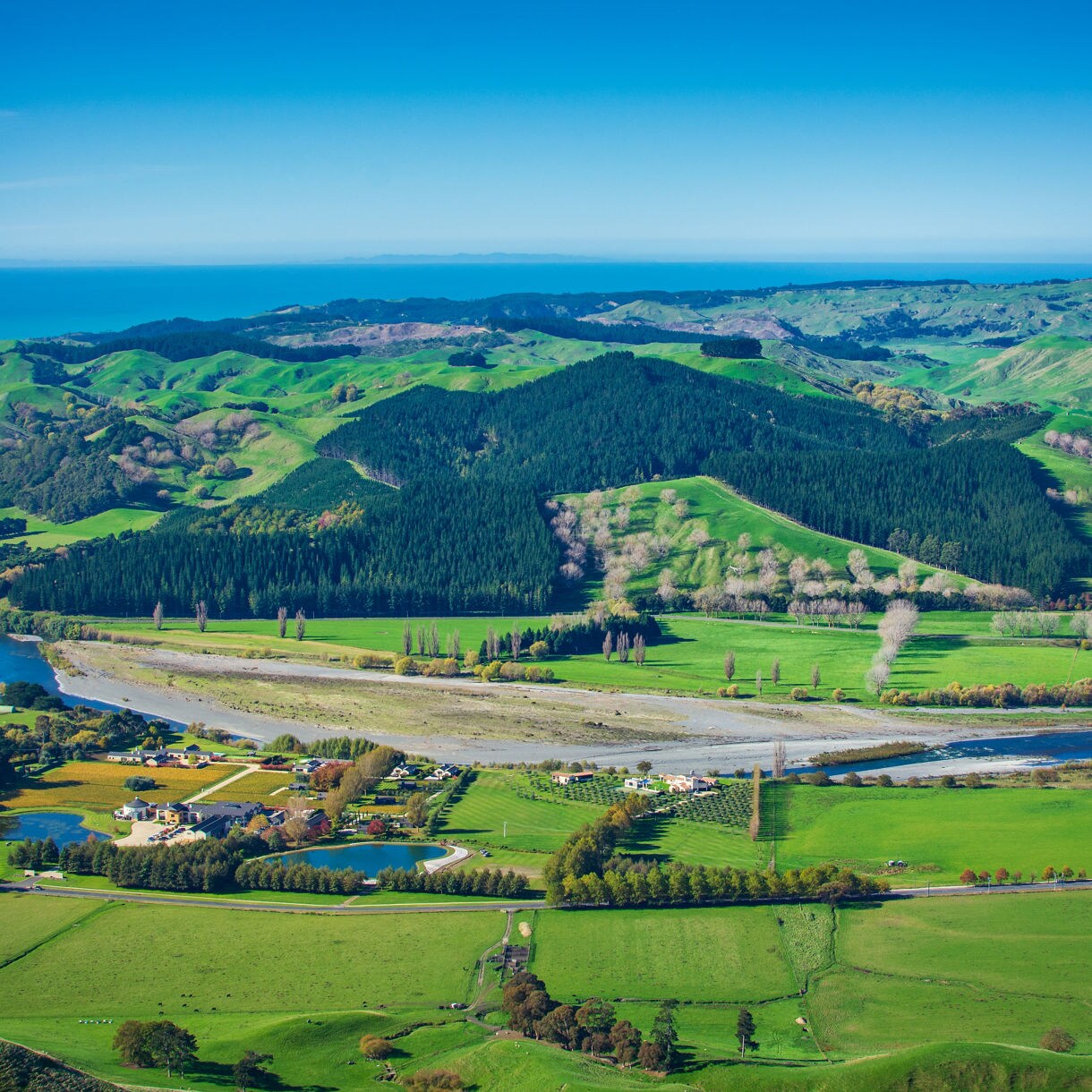 A wide view of green hills and farmland divided by the winding Tukituki River, with distant blue ocean under a clear sky.