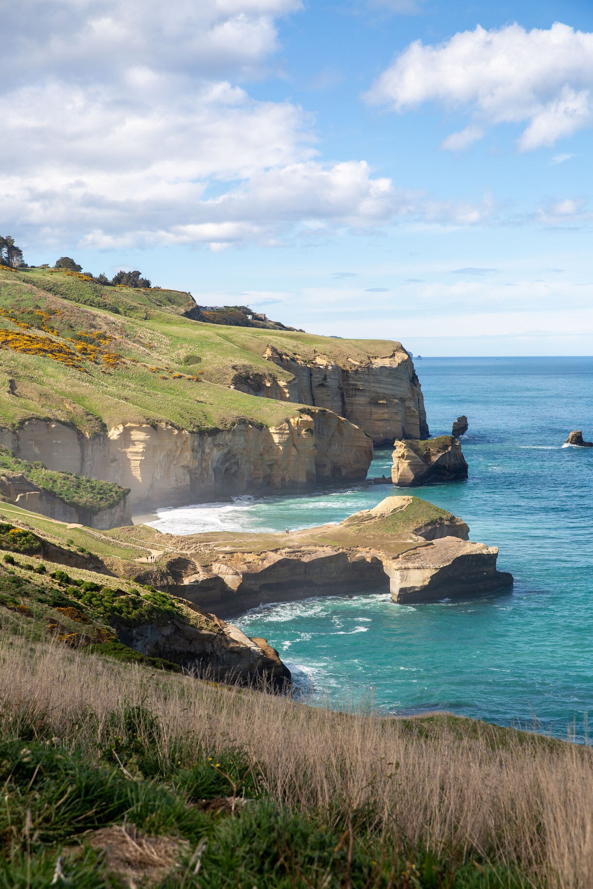 Steep sandstone cliffs and sea stacks rising above turquoise water at Tunnel Beach under a bright, partly cloudy sky.