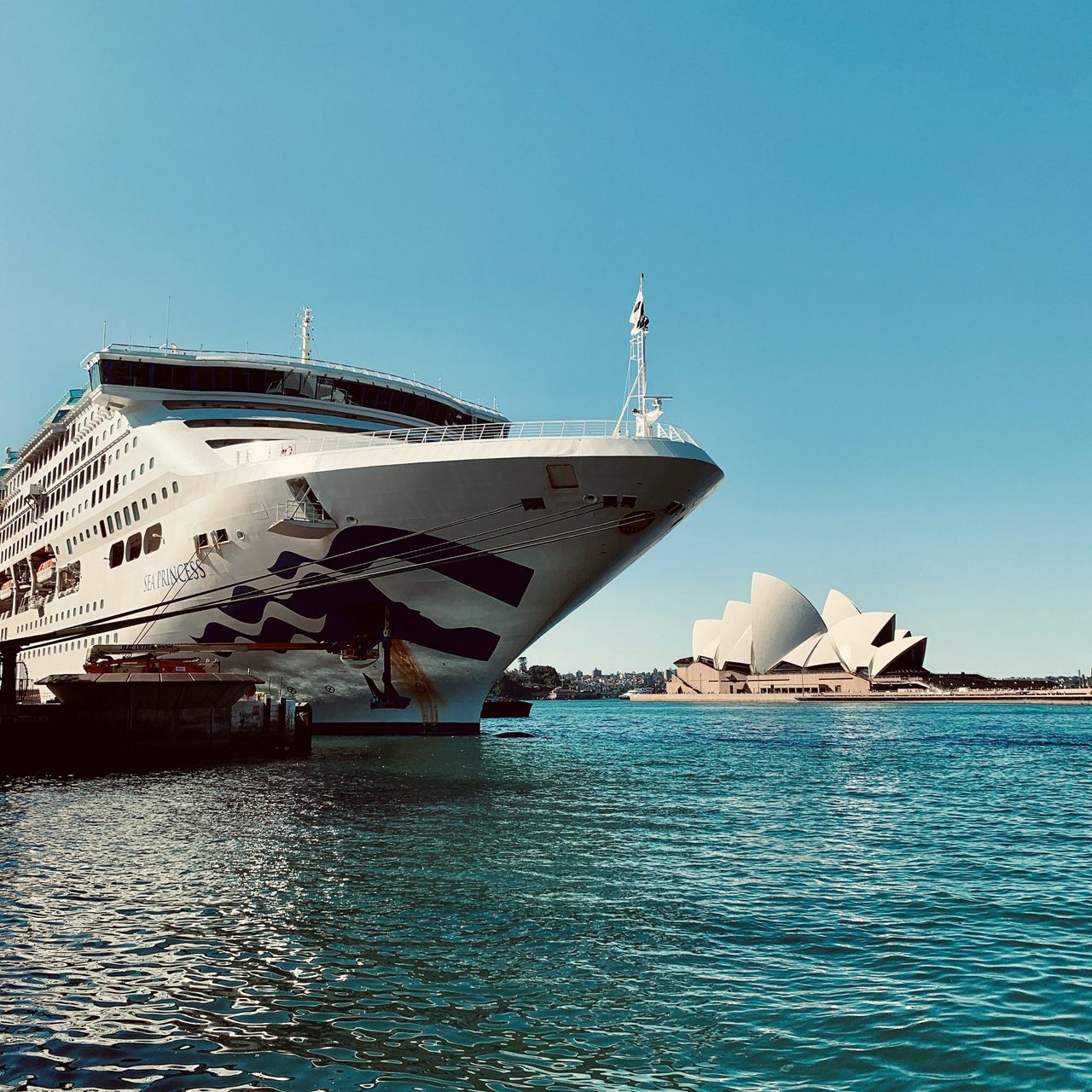 Guest-captured moment: Princess Cruises ship in Sydney Harbour at sunset.