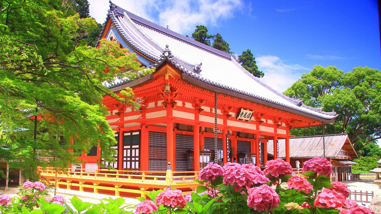 Rare Kawadoko Experience, Bamboo Forest and Daruma temple