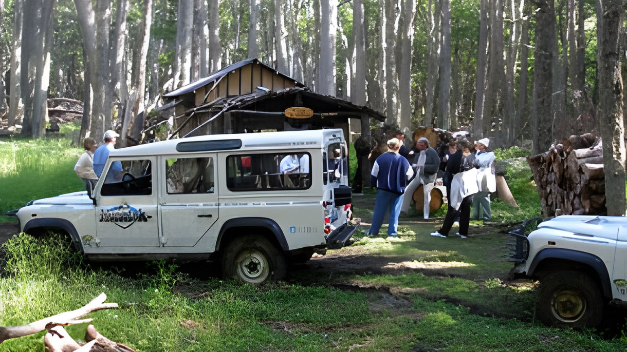 4X4 Off-Road Safari: The Lumberjack Trail