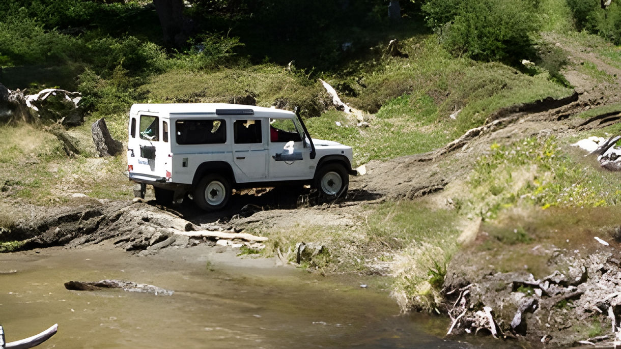 4X4 Off-Road Safari: The Lumberjack Trail