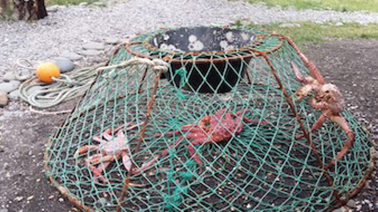 Local Connections: Fishing Village, King Crab & Gourmet Experience