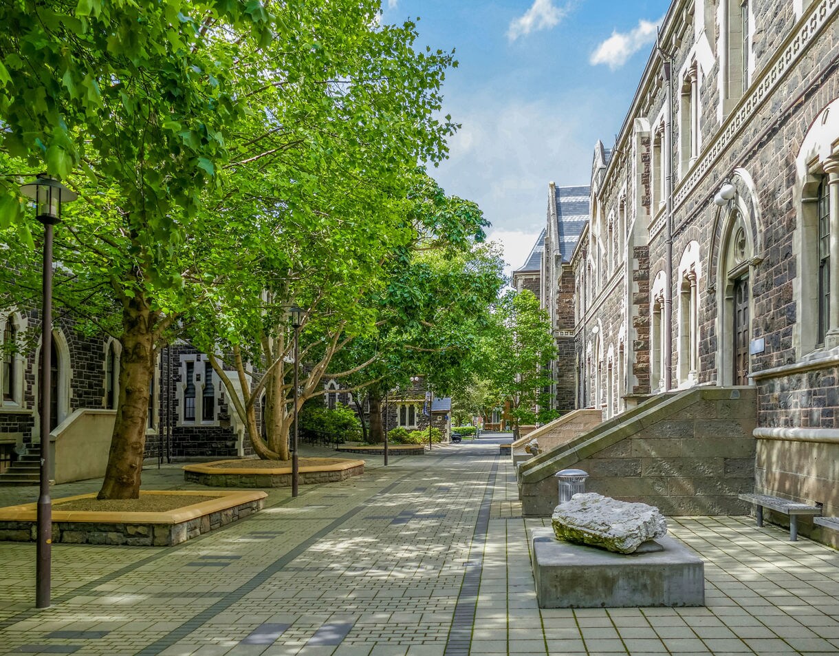 Tree-lined walkway between gothic-style stone buildings at the University of Otago on a bright, sunny day.