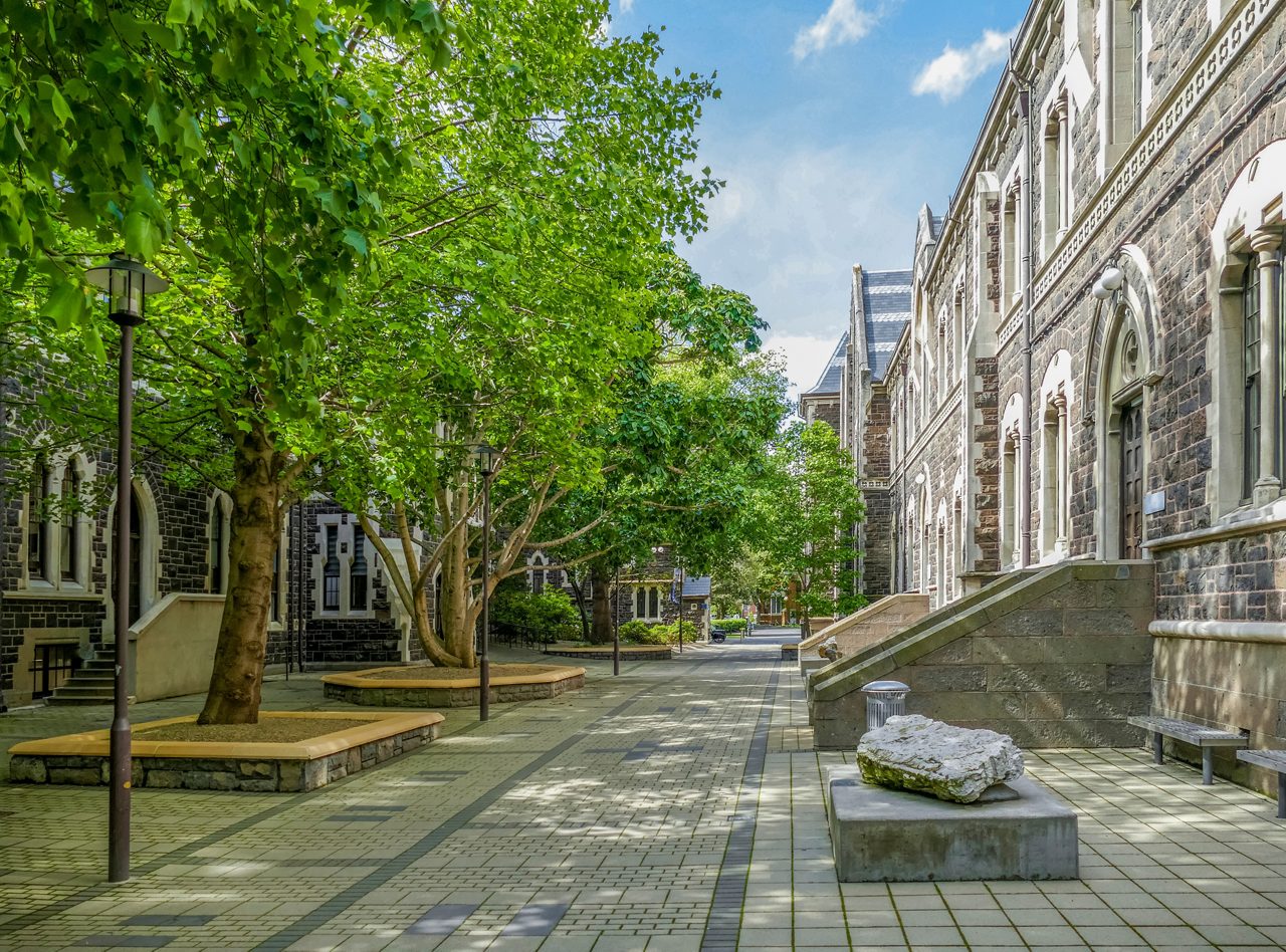 Tree-lined walkway between gothic-style stone buildings at the University of Otago on a bright, sunny day.