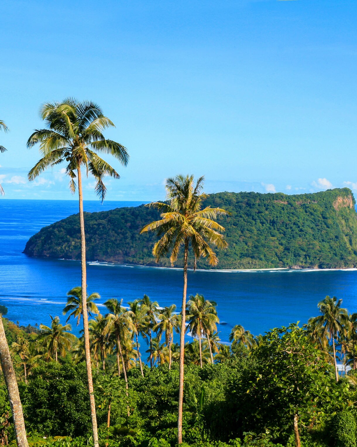 View of Upolu island in Samoa, covered in dense greenery and surrounded by vivid blue ocean, framed by tall palm trees.