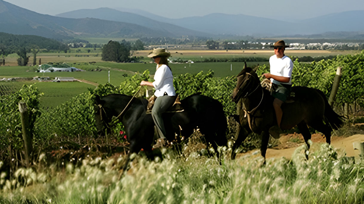 Debark Tour: Winery, Horse Show & Santiago City Drive