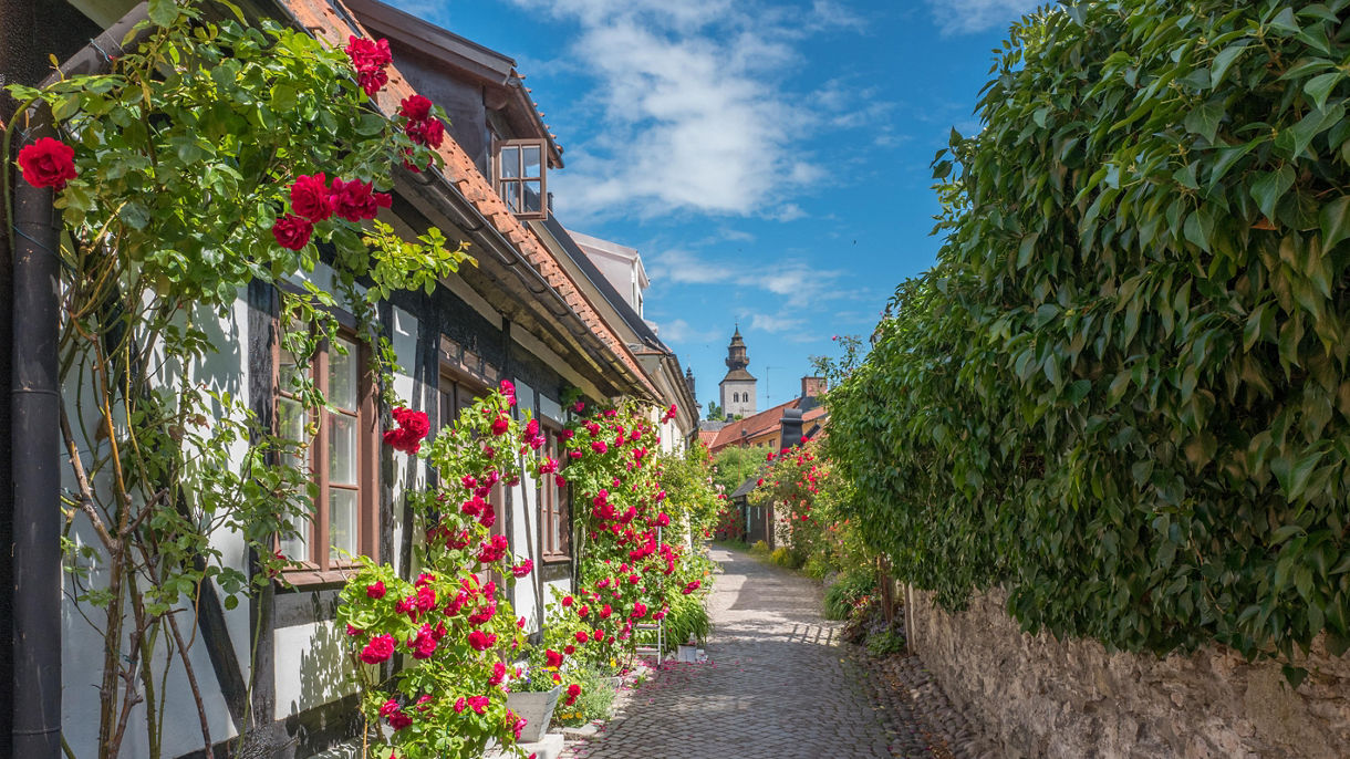 Biking in Visby