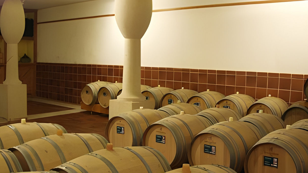 Agro de Bazan Winery & Spanish Wine Tasting