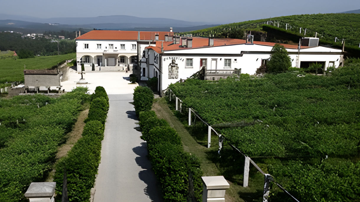 Agro de Bazan Winery & Spanish Wine Tasting