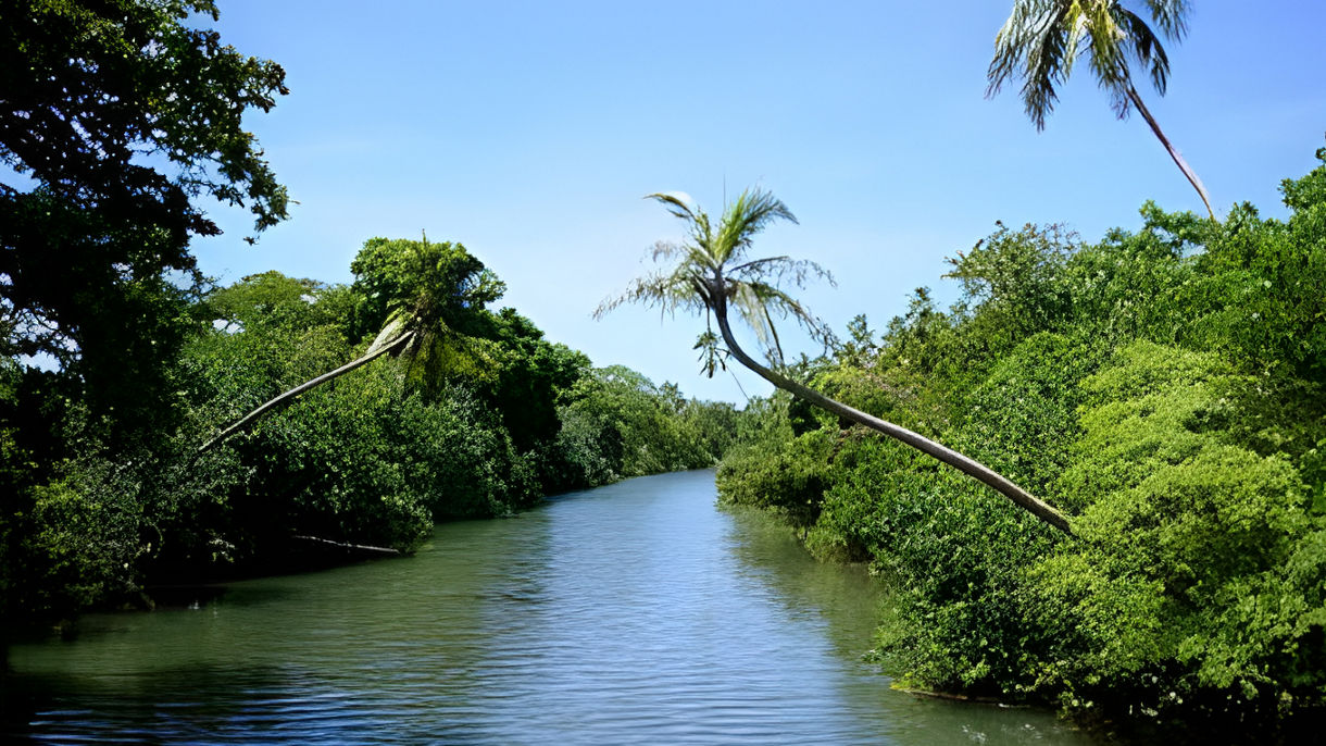 Tranquility Island and Snorkel