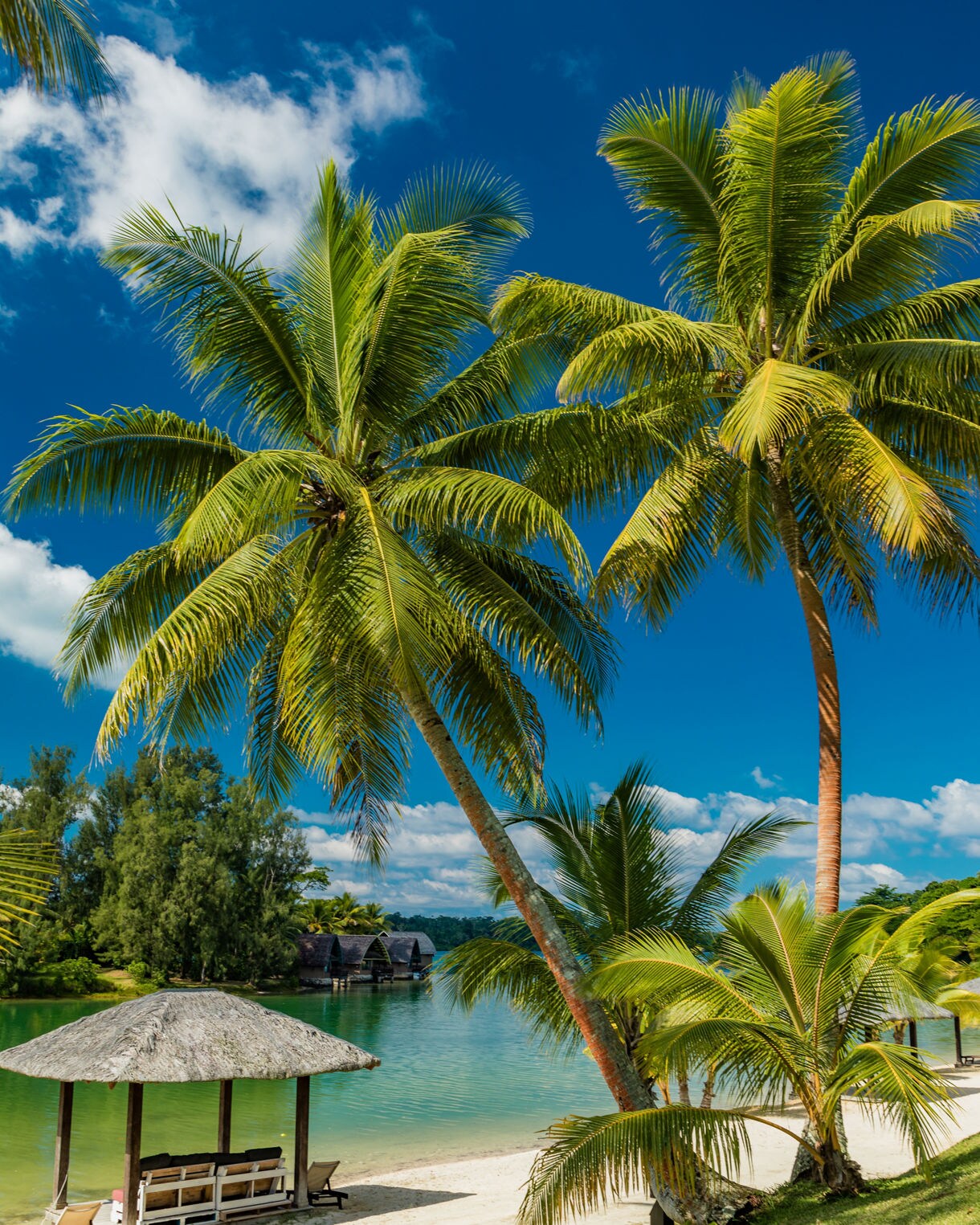 Tropical beach in Vanuatu with tall coconut palms, a thatched-roof cabana, white sand and calm turquoise water backed by lush greenery.