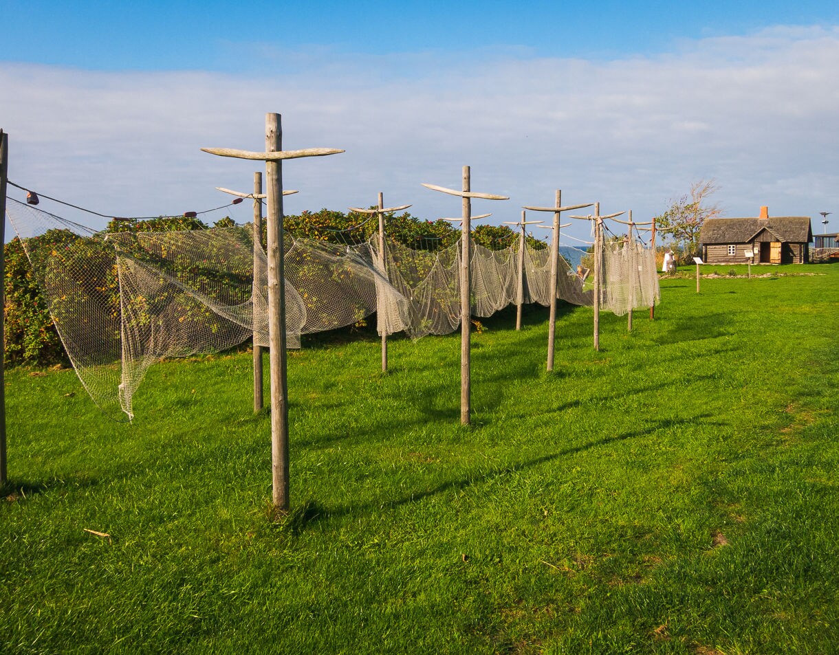 Traditional fishing nets hanging to dry on wooden poles at Viimsi Open-Air Museum in Estonia, with rustic wooden farmhouses in the background near the Baltic Sea.