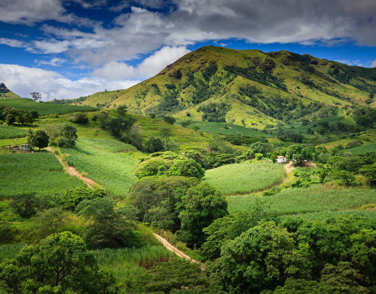 Scenic landscape of Viti Levu, Fiji, with grassy hills, scattered trees and winding dirt roads under a partly cloudy blue sky.