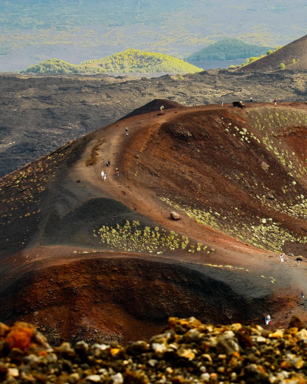 Panoramic view of a large volcanic crater on Mount Etna with hikers walking along the rim, surrounded by dark lava fields and patches of green vegetation in the distance.