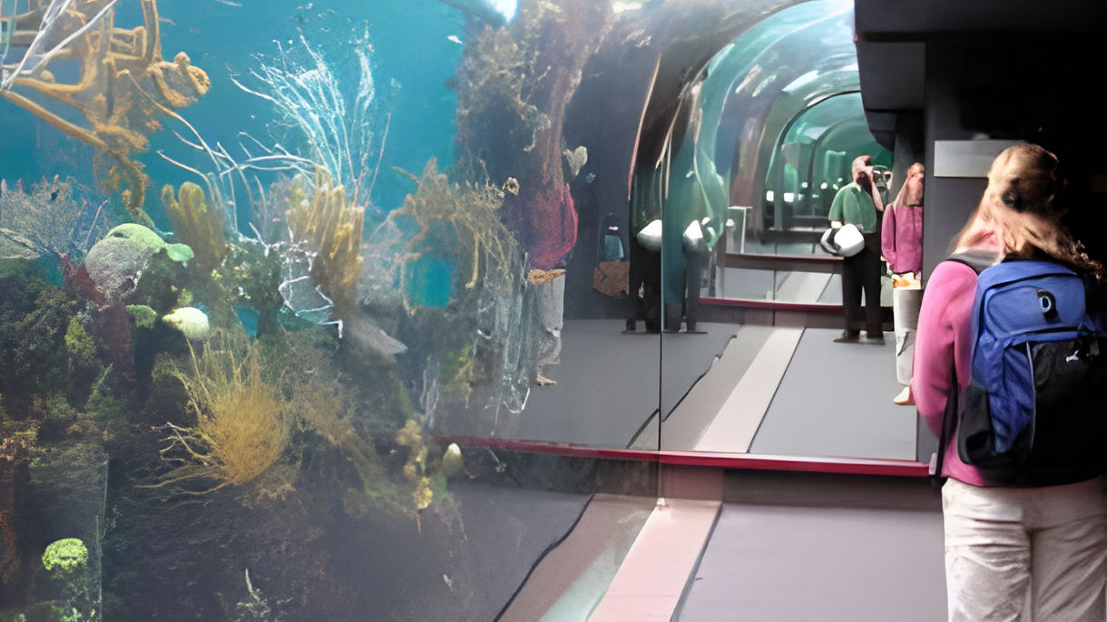 Scenic Coastal Cruise, Aquarium, Museum & Zoo