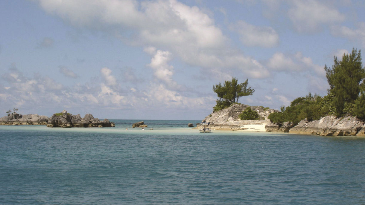 Glass-Bottom Boat Cruise, Sea Gardens & Snorkel