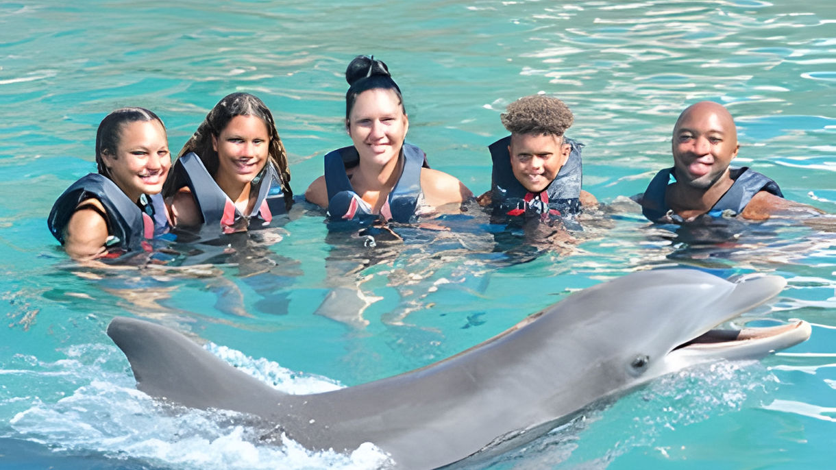 Dolphin Encounter