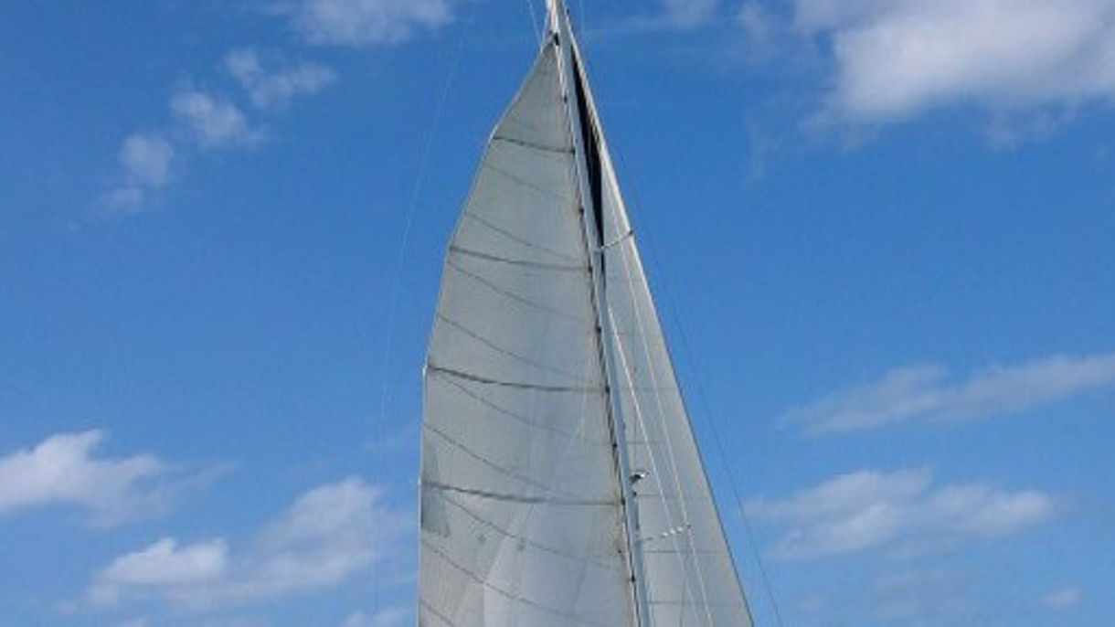 Scenic Catamaran Cruise, Snorkel, Swim & Beach