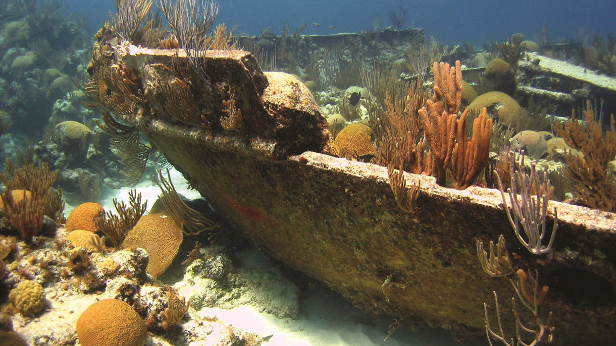 Bermuda Triangle Shipwreck Snorkel