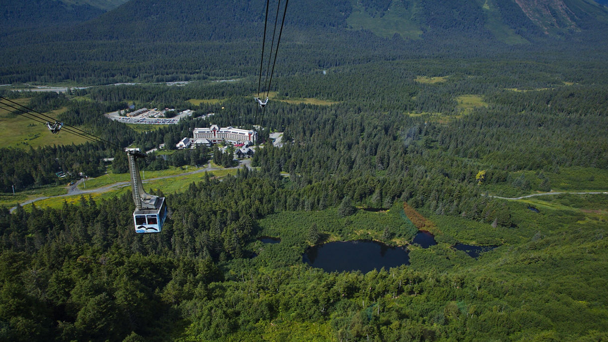 Turnagain Arm, Wildlife Conservation Center & Tram with Airport Transfer