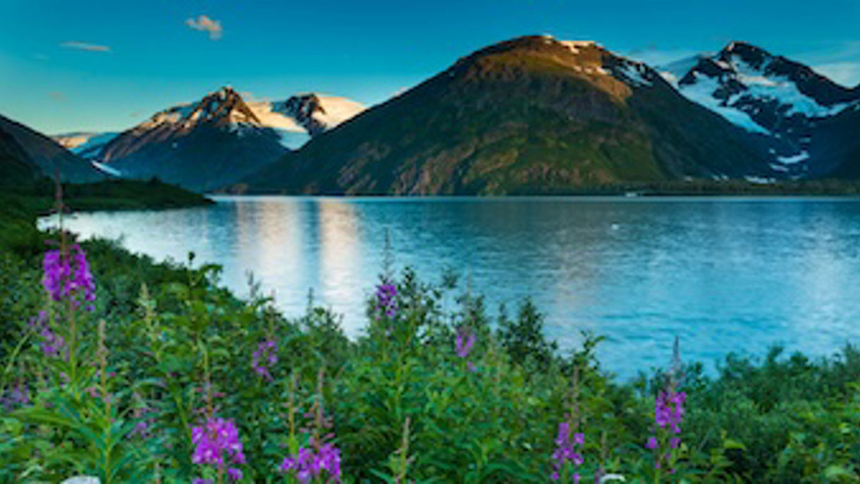 Turnagain Treasures Photo Adventure with Airport Transfer