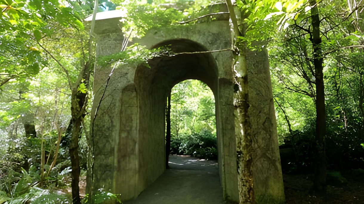 Full Day Lord of the Rings Film Locations & Weta Workshop