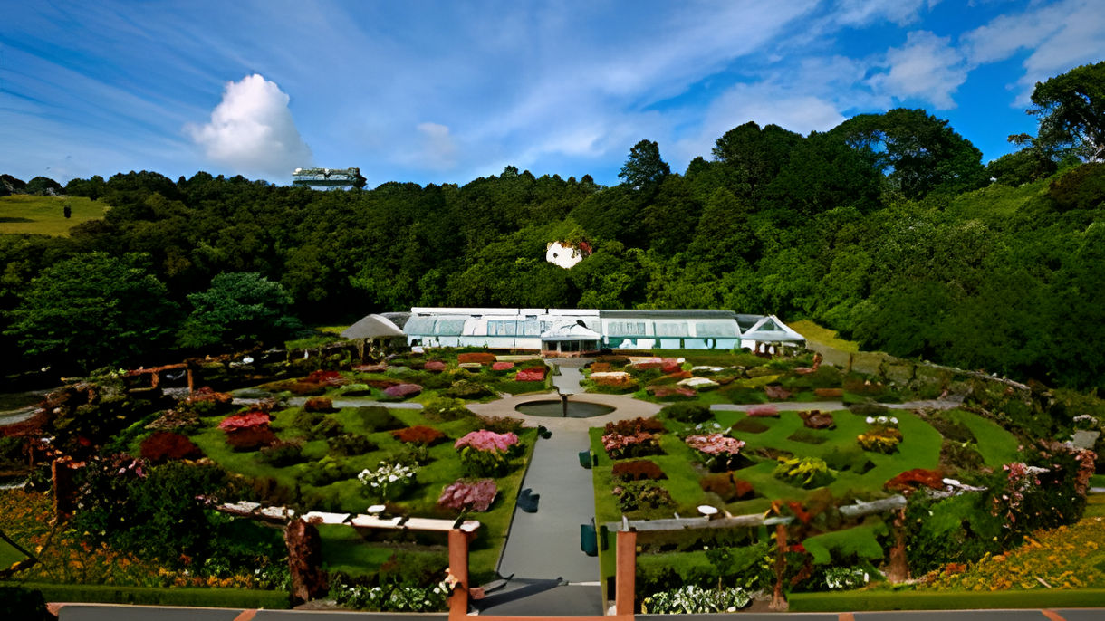 Wellington by Private Vehicle - Van Class Full Day (With Driver/Guide)
