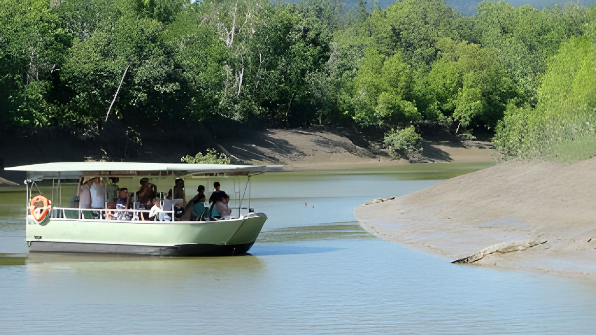 Proserpine River & Crocodile Cruise