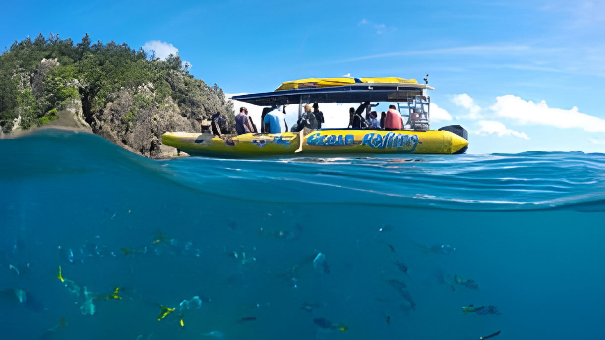 Exhilarating Whitehaven Expedition