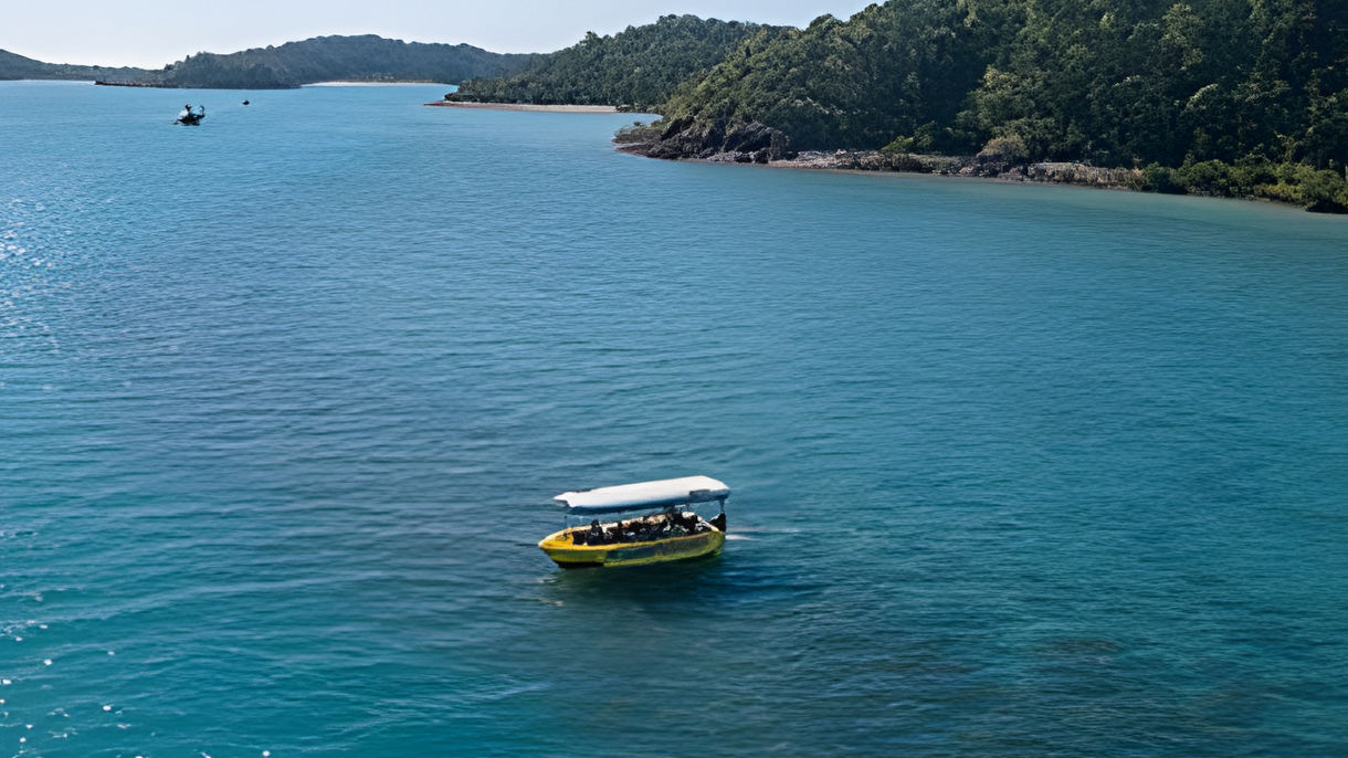 Glass-bottom Boat