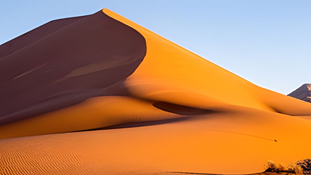 The Living Namib Desert