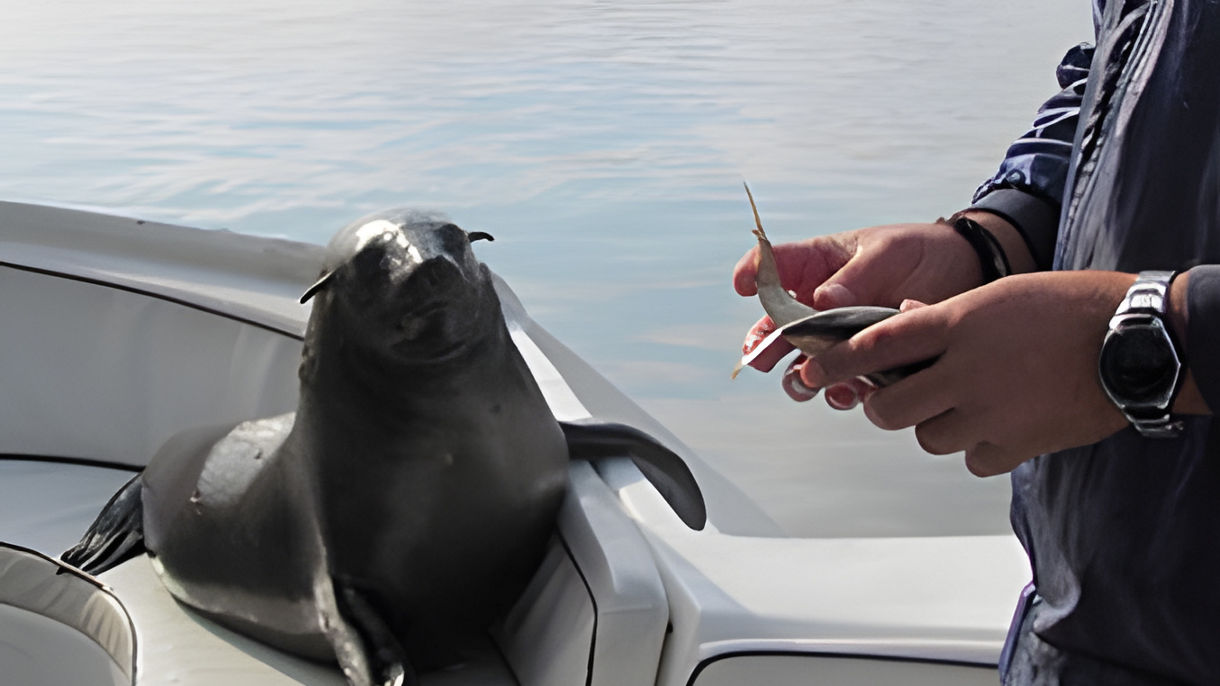 Walvis Bay Lagoon Cruise