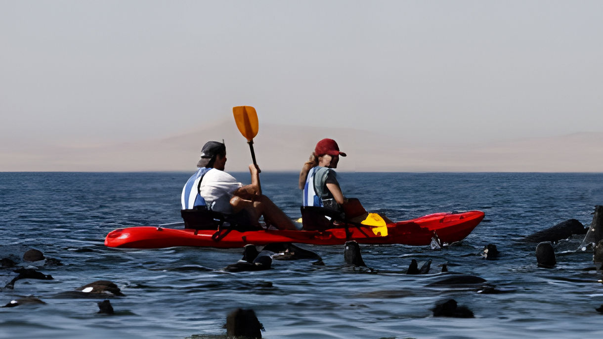 Pelican Point Kayaking Adventure
