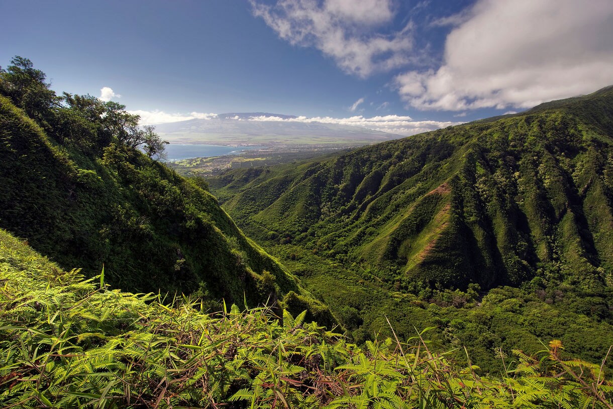 Lush green mountains and valleys along the Waihee Ridge Trail overlooking the ocean under a bright blue sky.