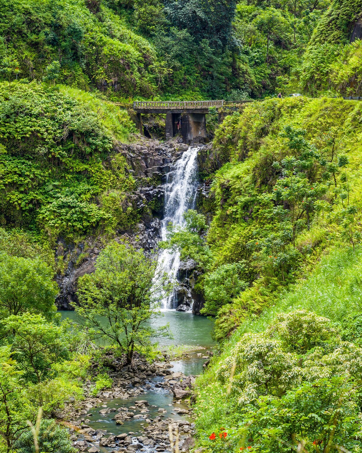 A narrow waterfall flowing beneath a small bridge into a tranquil green pool surrounded by dense tropical foliage.