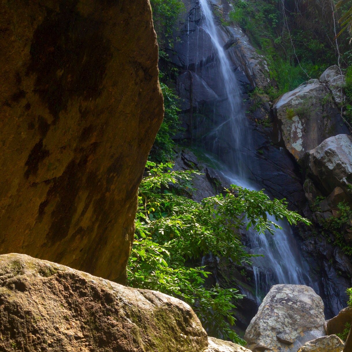 A waterfall cascades down dark rocks surrounded by lush green jungle foliage and boulders.