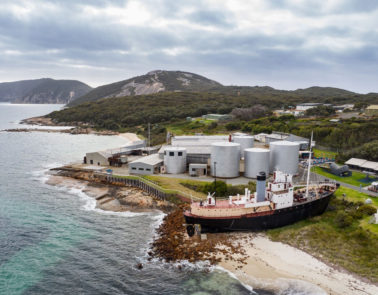 A historic whaling station and preserved ship along a rocky coast, with forested hills rising behind and waves washing onto a small beach.