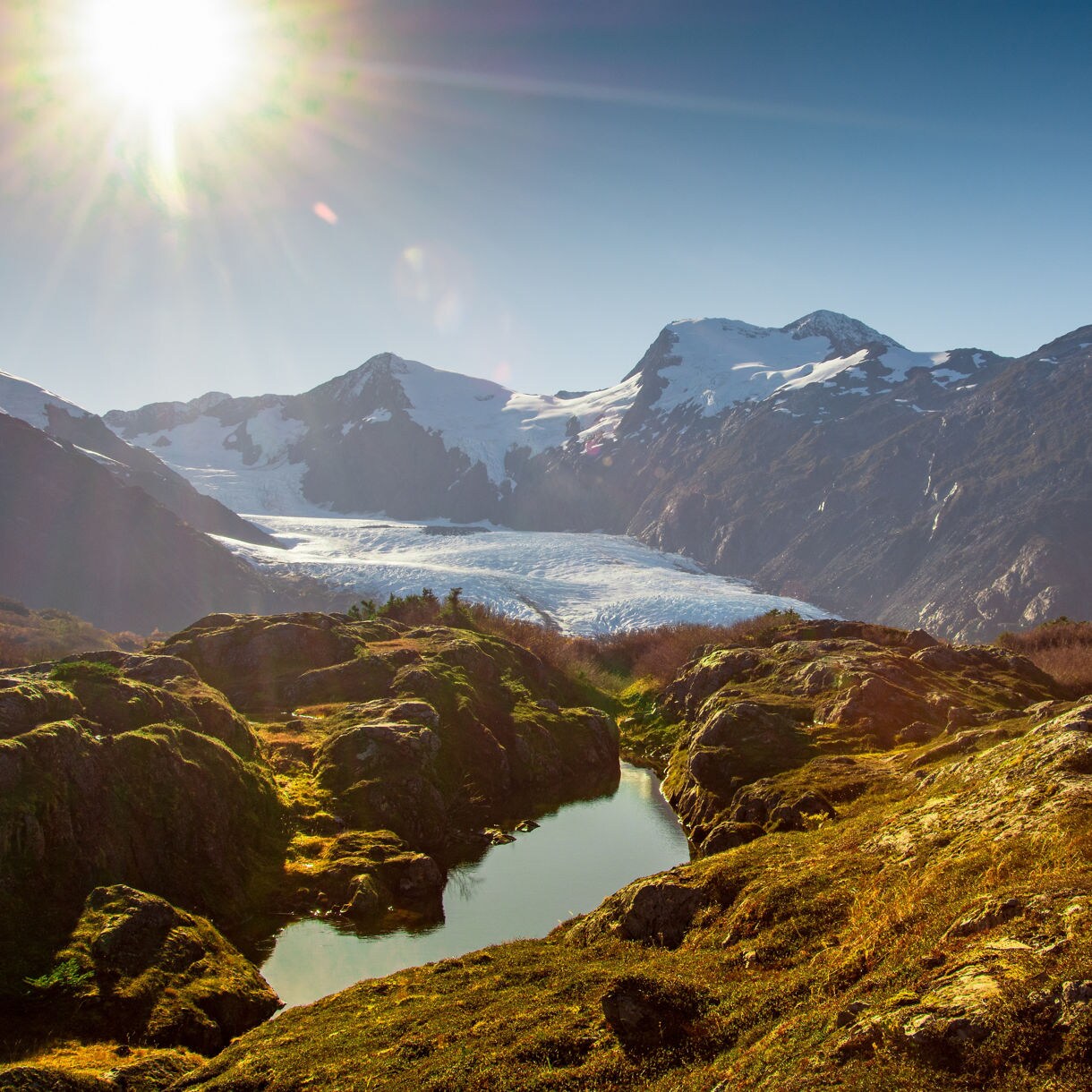 Sunlit view overlooking Portage Valley in Alaska, with a small alpine pond in the foreground, golden fall foliage, and snow-covered glaciers nestled between rugged mountain peaks.