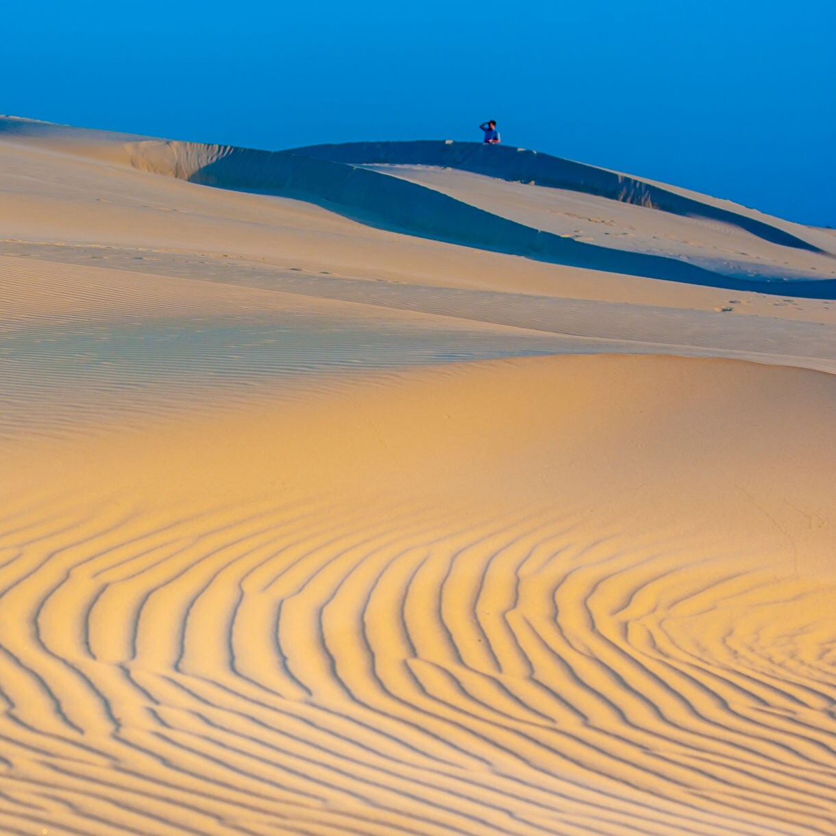Sweeping sand dunes with rippled patterns in warm sunlight, a lone person standing on a distant ridge against a deep blue sky.