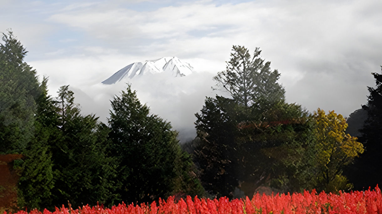 Tottori Flower Park