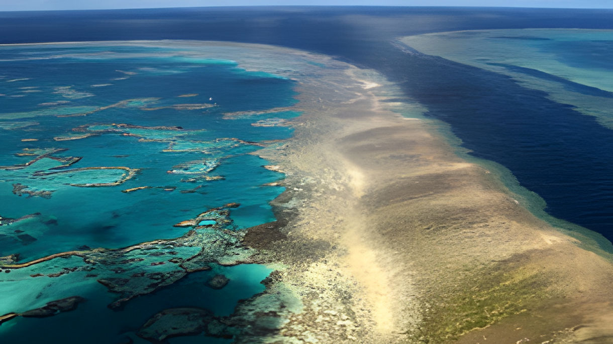 The Great Barrier Reef