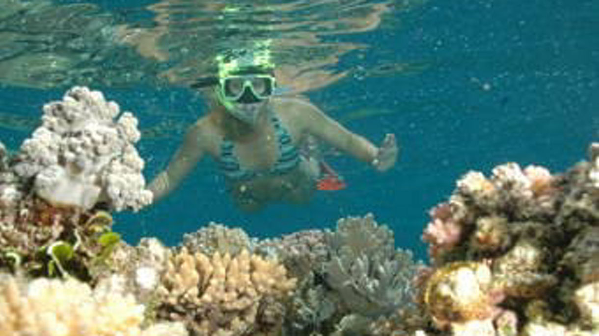 The Great Barrier Reef
