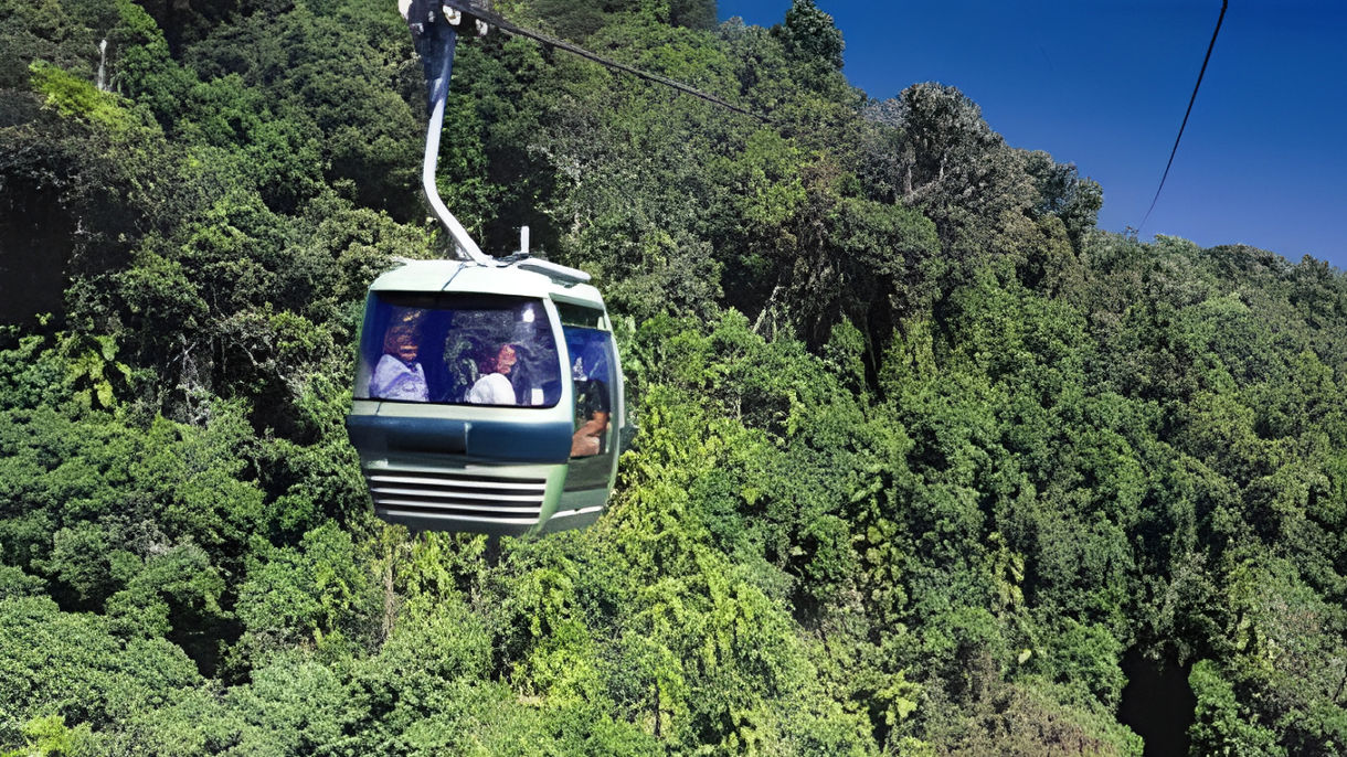 Best of Yorkey's Knob - Skyrail Rainforest Cableway, Kuranda & Railway