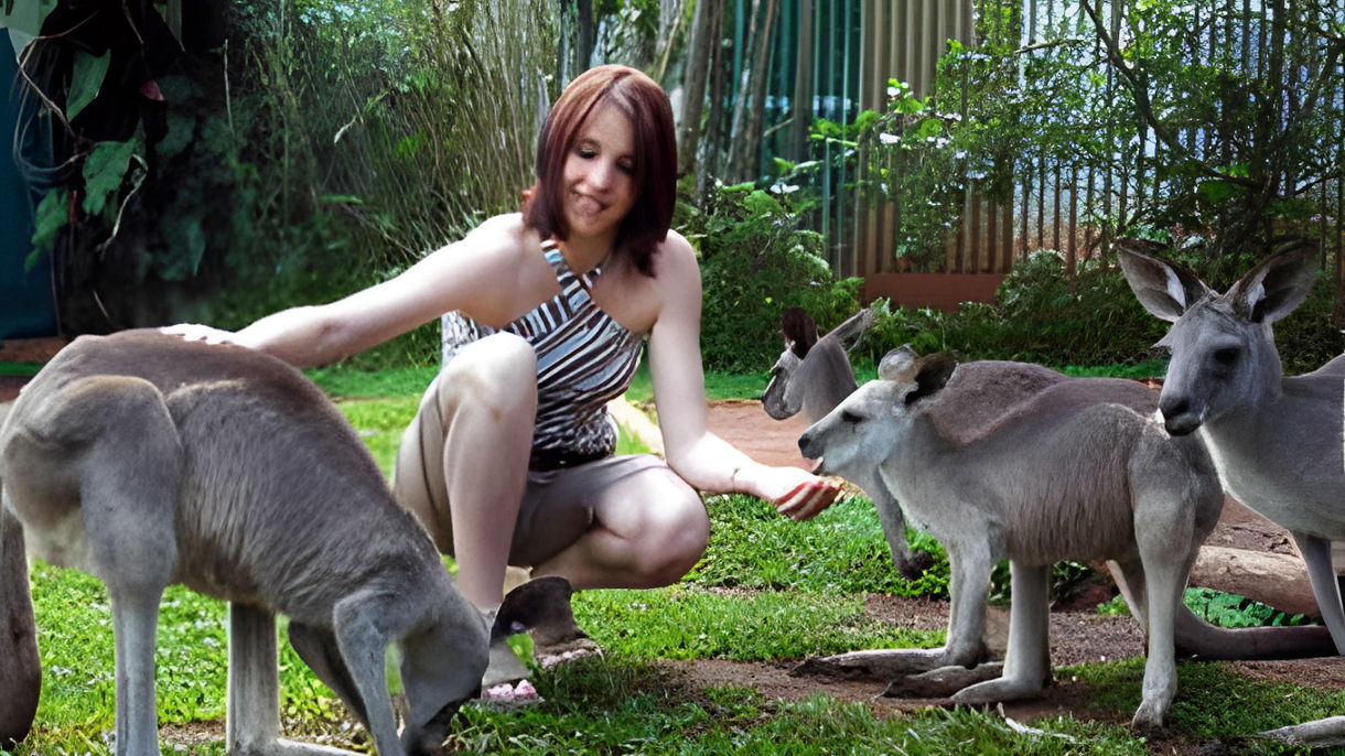 Rainforestation Nature Park & Skyrail Cableway