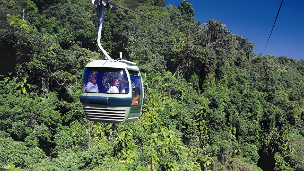Rainforestation Nature Park & Skyrail Cableway