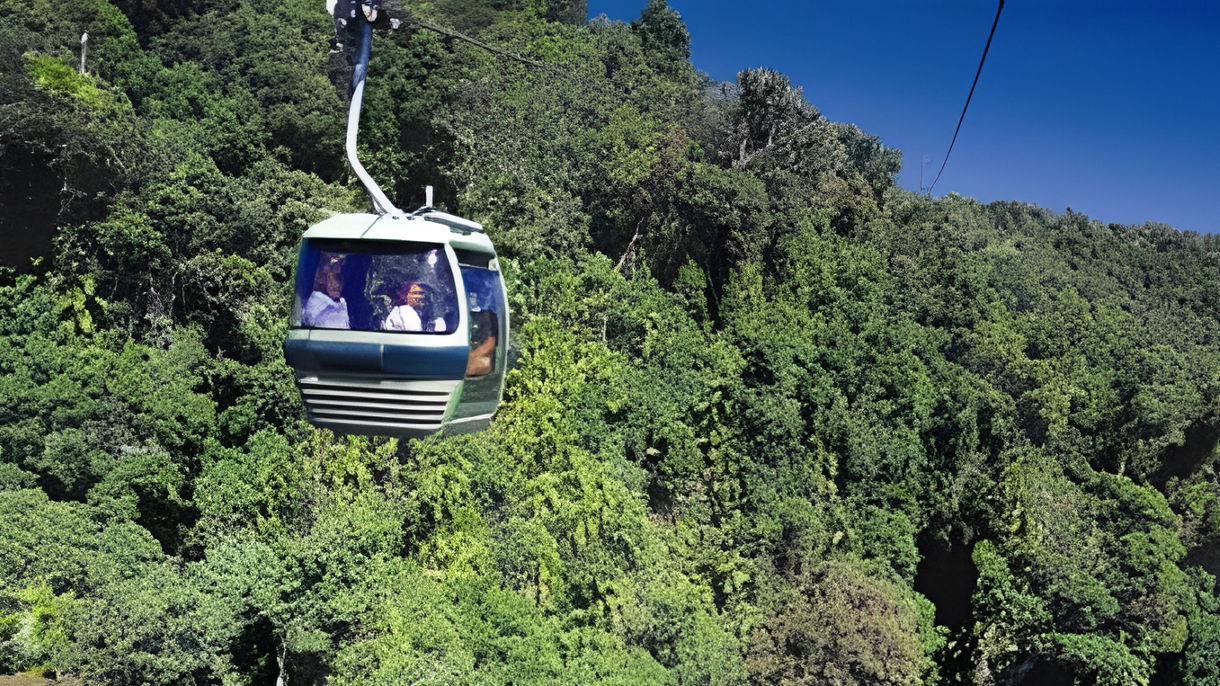 Kuranda & Skyrail Rainforest Cableway